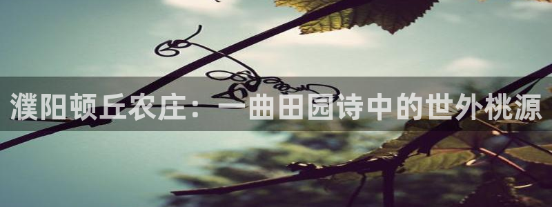 天顺娱乐主管年