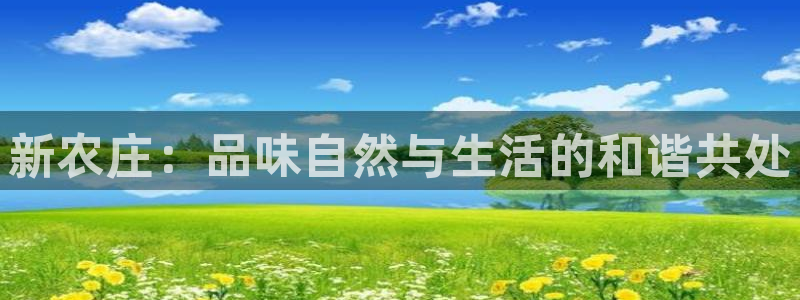 娱乐主播聊天顺序