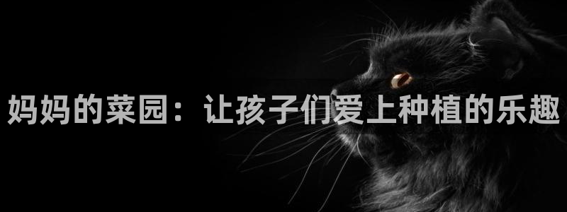天顺娱乐派33300j