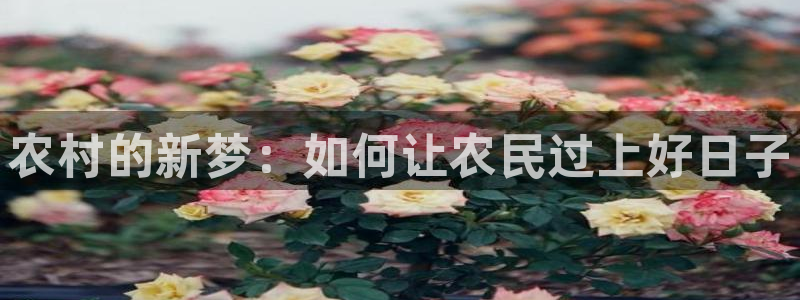 天顺娱乐负责人忄援助p29999