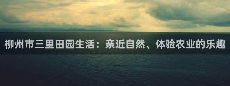 天顺娱乐主管方