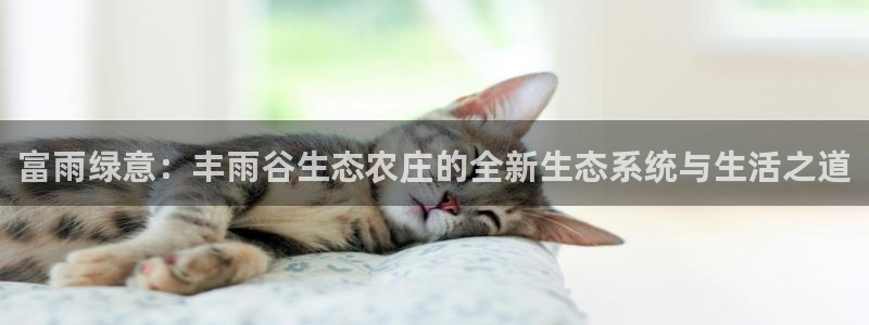 天顺娱乐丈v96303