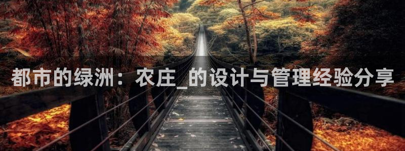 天顺娱乐底943994