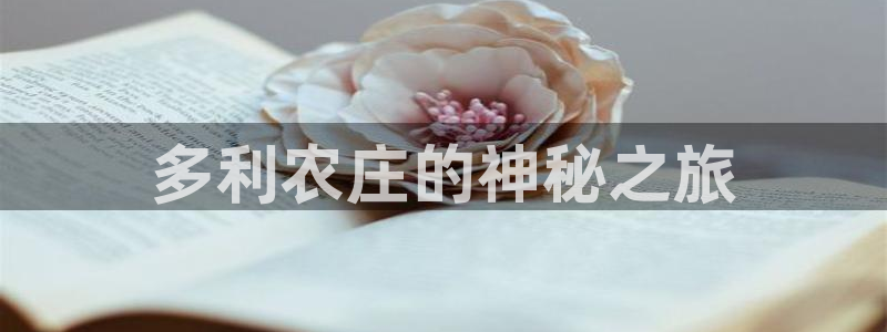 天顺电子娱乐公司