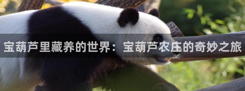 天顺娱乐驳