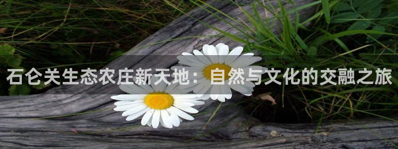 天顺娱乐怎样玩