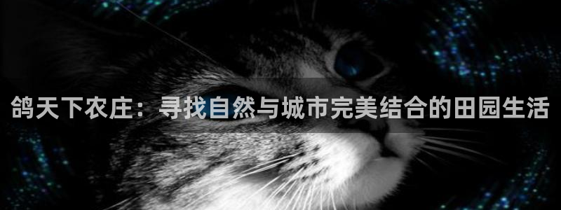 天顺娱乐nu金丷手丷指rx