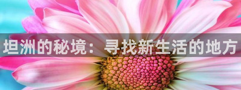 天顺娱乐赖wx15 vip
