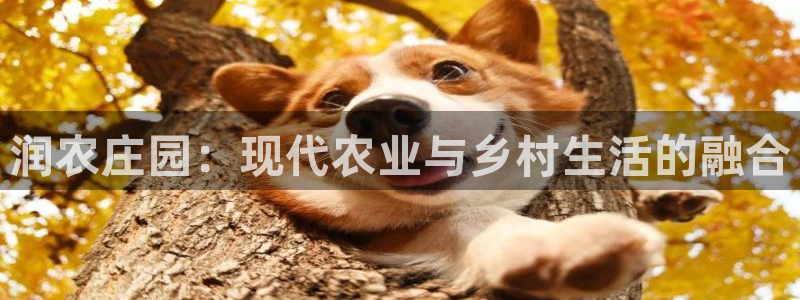 天顺娱乐账3300