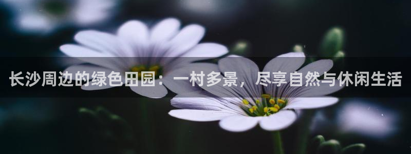 天顺娱乐 总e管772332