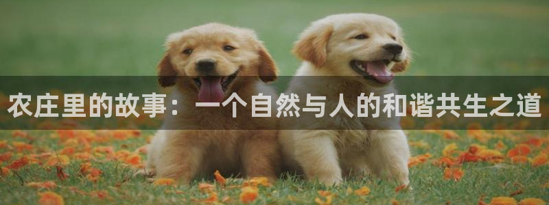 德宏天顺国际娱乐会所