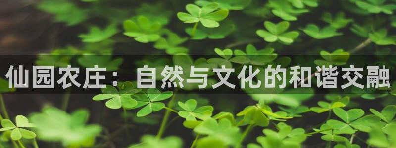 天顺娱乐岩78778卧