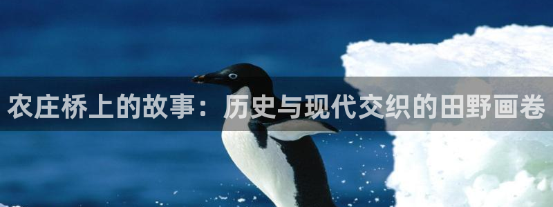 天顺娱乐无q96303