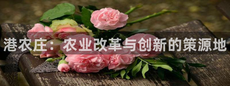 天顺娱乐代理怎么赚钱