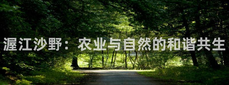 瑞丽市天顺娱乐会所法人