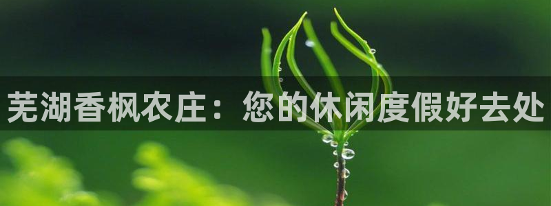 天顺娱乐的挂机宝