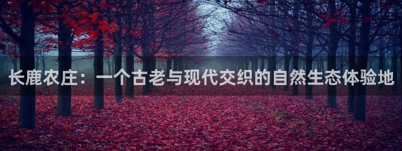 娱乐聊天顺口溜搞笑段子