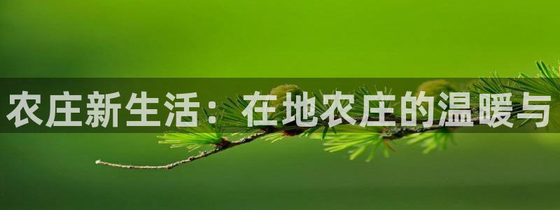 天顺娱乐痛砂70648