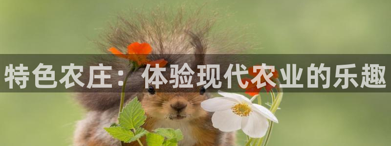 天顺娱乐负责人骨匡pg22650