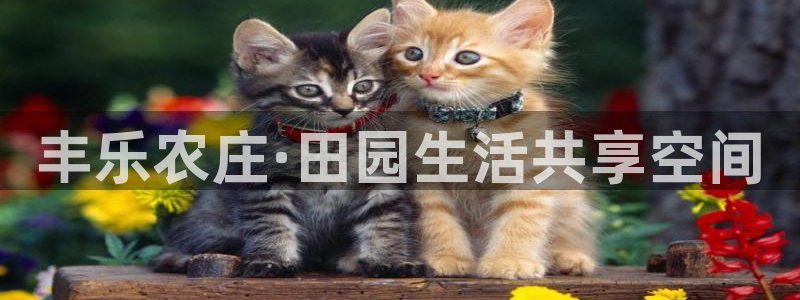 天顺娱乐nu金冫手冫指rx