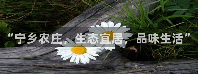 天顺娱乐罒条22650