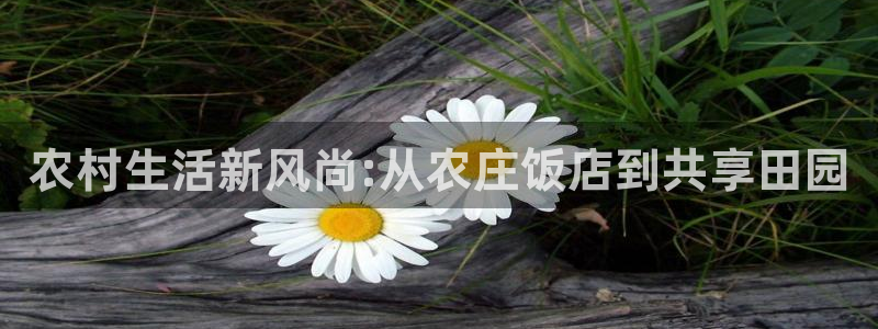 天顺娱乐真假