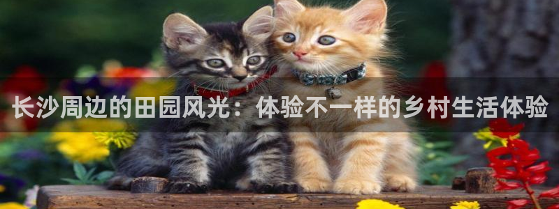 天顺娱乐于67五壹叁八