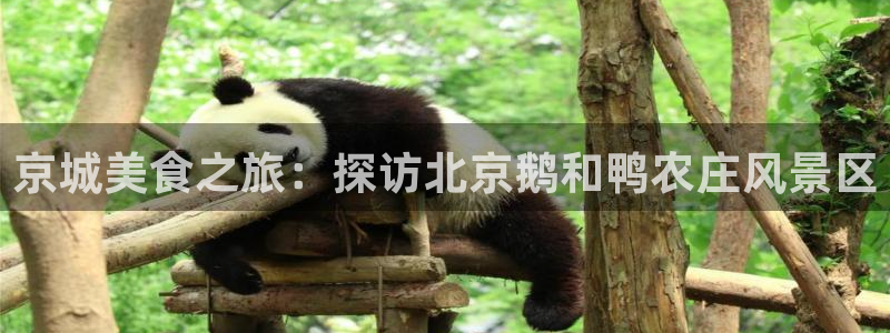 天顺娱乐山越70648