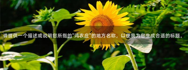 天顺娱乐q33300