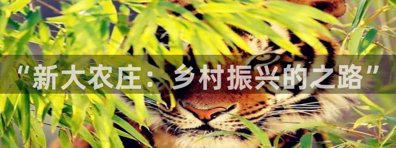 天顺娱乐10282推荐
