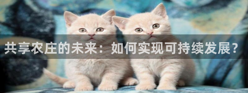 天顺娱乐股票代码