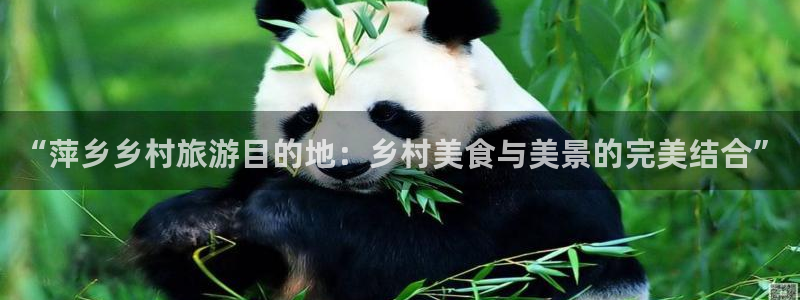 天顺娱乐负责人忄援助p29999