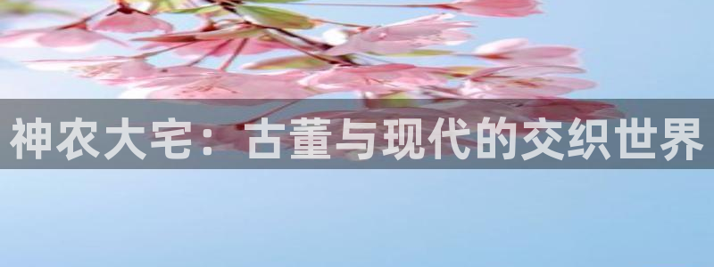 娱乐主播聊天顺序怎么排