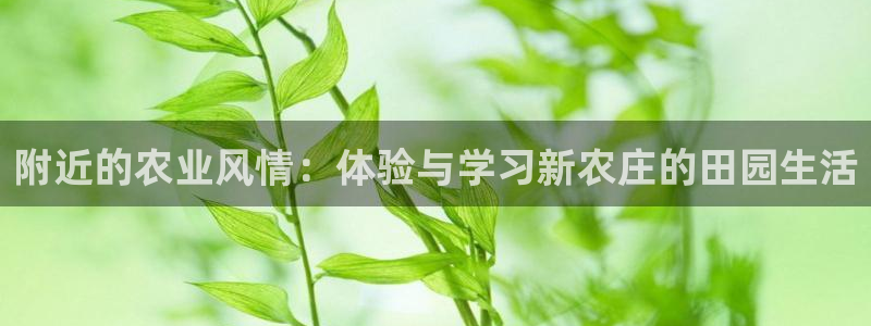 天顺娱乐放72182