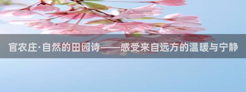 天顺娱乐主管指尖下