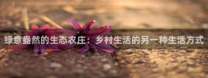 天顺娱乐负责人匸专业pg22650