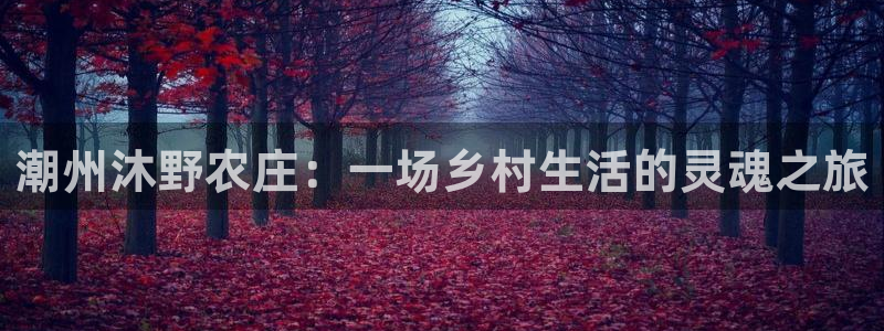 天顺娱乐揽46 99豪