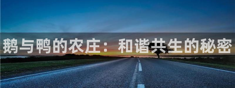 天顺娱乐觅