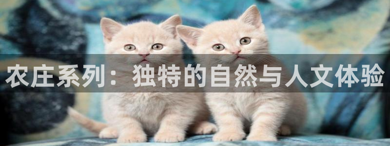 天顺娱乐普呐70 48