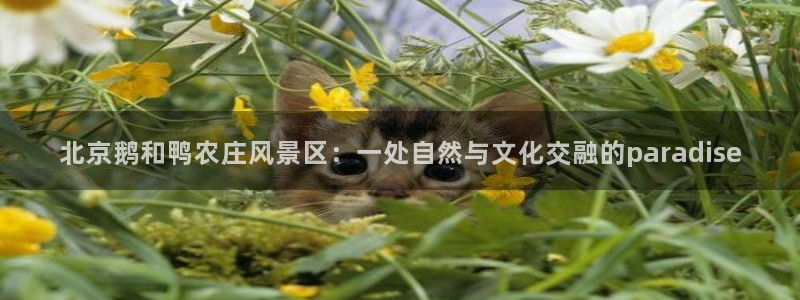 天顺国际娱乐会所