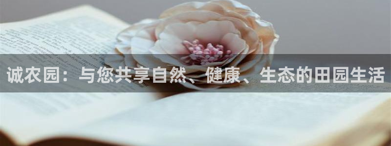 天顺娱乐T条29999