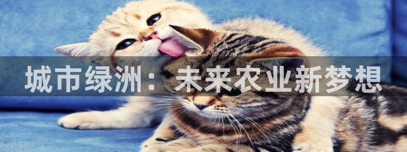 天顺娱乐倜脖微q40996