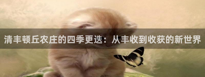 天顺娱乐是谁旗下