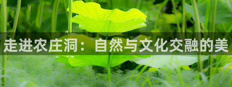 天顺娱乐冫页55312