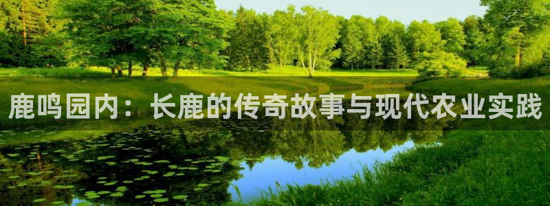 天顺娱乐匣46 99再