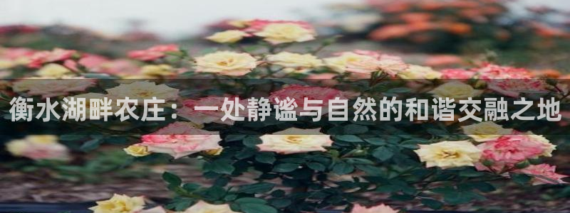 天顺娱乐捌喜F675 138