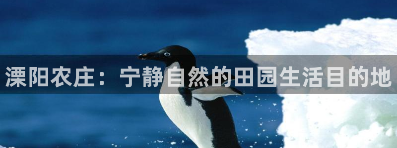 天顺娱乐真假