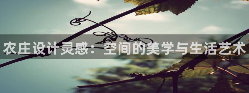 天顺娱乐总代理是谁啊