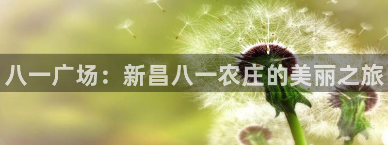 天顺娱乐耂金手指花总7