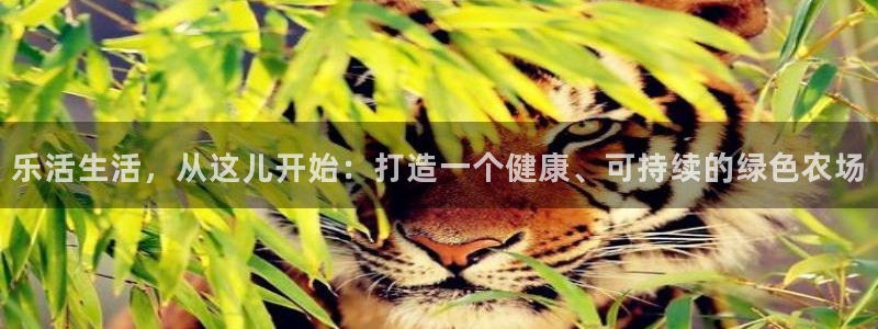 天顺娱乐主管方